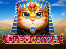 Royal flamingo casino sister sites. Cat casino.82